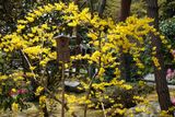 DSCF0267.JPG
