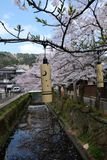 DSCF0519.JPG