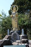 DSCF0563.JPG