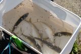 DSCF0591.JPG