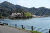 DSCF0594.JPG