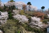 DSCF0595.JPG