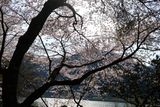 DSCF0622.JPG