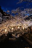 The Illuminated Sakura (DSCF0641.JPG)