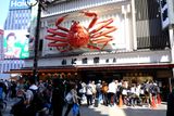 DSCF0965.JPG