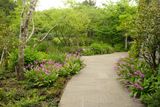 DSCF0484.JPG