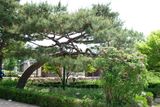 DSCF0710.JPG