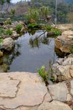 DSCF2453.JPG