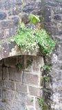 DSCF3464.JPG