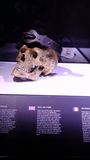 DSCF3581.JPG