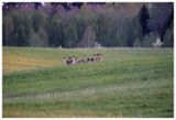 RYPI_29042024_005.jpg