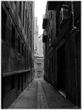 Melbournes tallest peeking in