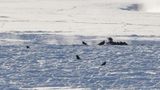 IMG_1383x-1.jpg