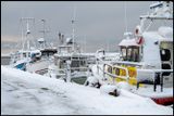 Winter finally reached Grnhgen harbour
