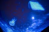 Winter Glow-44.jpg