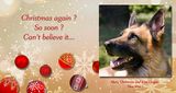 Xmas_2024.jpg