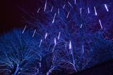 Winter Glow-88.jpg