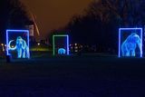 Winter Glow-98.jpg