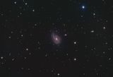 NGC 772 Fiddlehead Galaxy