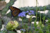 DSC_0469.jpg