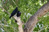 DSC_0546.jpg