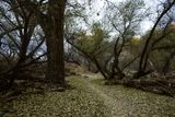 _DSC0763.jpg