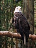 _DSC1747a_K64.jpg
