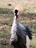 _DSC1829a_K64.jpg