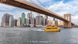 Taxi under the bridge