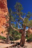 Utah15-9081