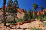 Utah15-9101