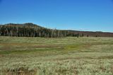 Beetle killed trees on the road back to Cedar City - Utah15 9159