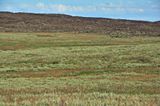 Lava flow - Utah15-9162