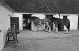 06-09-4566bw