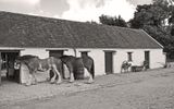 06-09-4568bw-s
