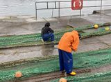 06-09 Mending nets i0386