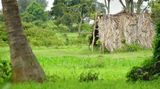 Worker shelter - India-2-1063cr