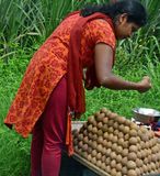 Roadside fresh - India-2-1156