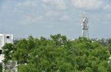 From hotel balcony - India-2-1219