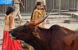 Dumped the flowers - India-2-1265