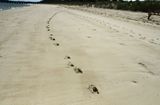 05-19 Beach traffic 3949