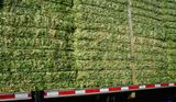 Alfalfa hay on the road - Utah19-1-9897