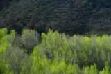 05 01 Utah19-1-9928