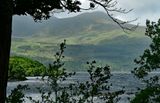 06-10 Muckross Lake 4668