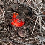 06-30 Emergence i8404sq