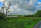 06-10 Muckross Lake 4694