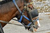 06-10 Blinders 4723