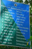 India-2-1377