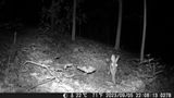DSCF0278.jpg