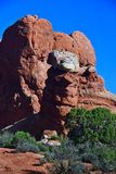 Utah19-2-0717